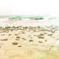 Sluitzegel strand zeezicht
