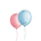 Sluitzegel ballonnen roze blauw