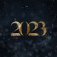 Gouden 2023 donkerblauw