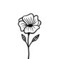 Sluitzegel bloem lijntekening