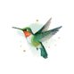 Sluitzegel kolibrie waterverf