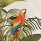 Sluitzegel papegaai jungle
