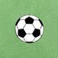 Sluitzegel voetbal met groen