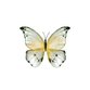 Sluitzegel waterverf vlinder mint