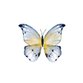 Sluitzegel vlinder waterverf blauw