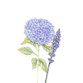 Rouw hortensia lavendel