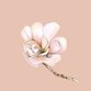 Trouwen magnolia wit roze