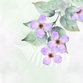 Trouwen - Lila bloemen-varen