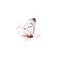 rouwkaart vlinder