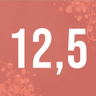 12,5 jaar