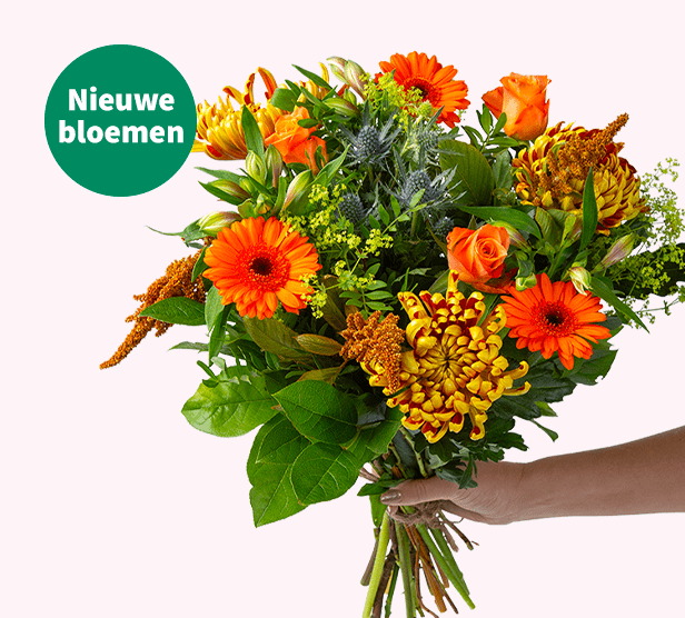 Bloemen & Planten