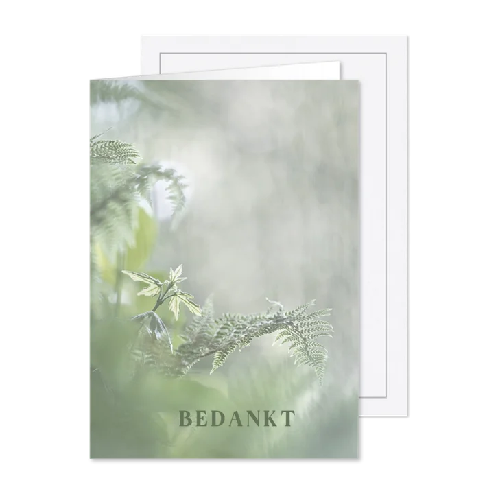 Bedanken na overlijden met varens