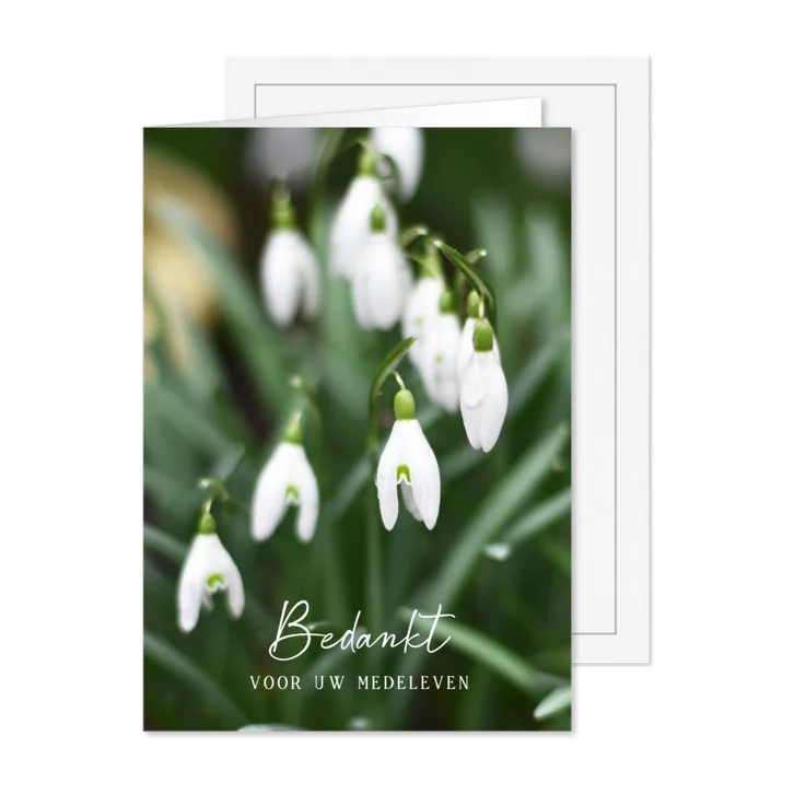 Bedankt rouw nagedachtenis kaart met sneeuwklokjes