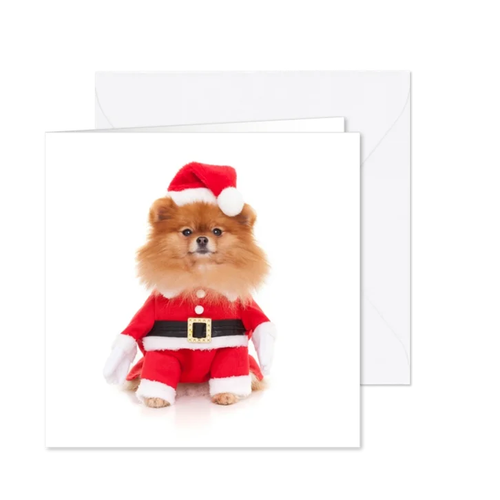 Dieren Kerstkaart - Pomeranian kerstman