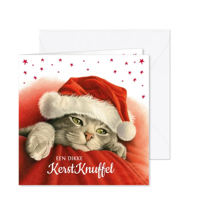 Een dikke kerstknuffel van deze lieve kerstkat