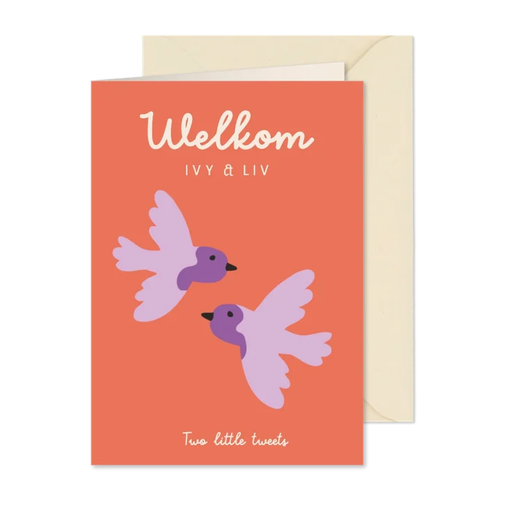 Felicitatie tweeling meisjes kleurrijk met lila vogels