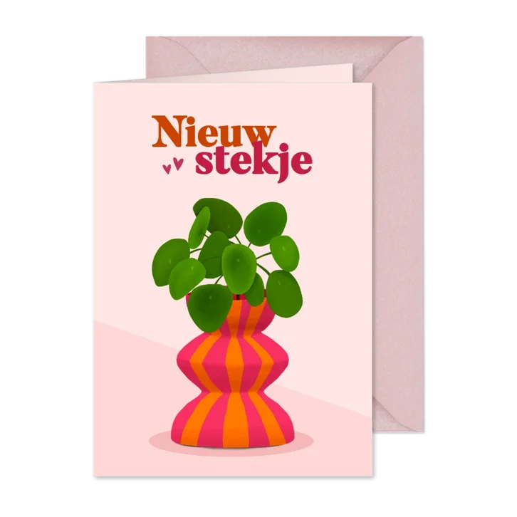 Felicitatiekaart nieuw stekje met plant in moderne pot 