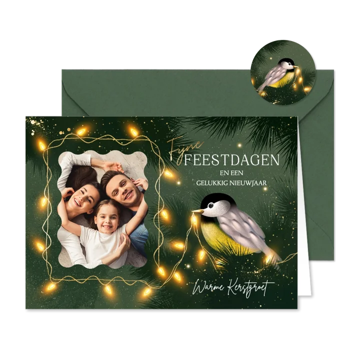 Foto kerstkaartje lief koolmeesje met lichtjes