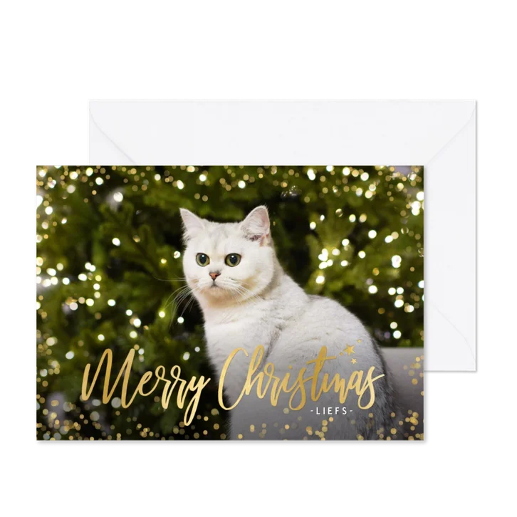 Fotokaart kerst enkel liggend grote foto confetti kader