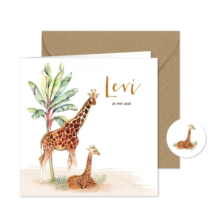 Geboorte Giraf jongetje