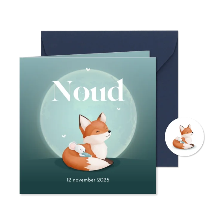 Geboorte jongen sfeervolle maan met vosje en kleine muis