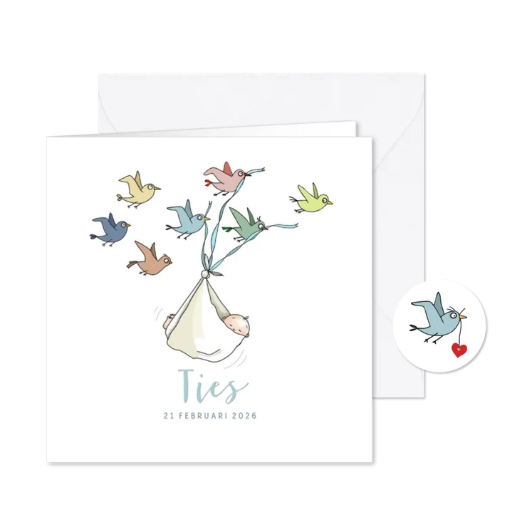 Geboorte - Vogeltjes brengen een jongetje