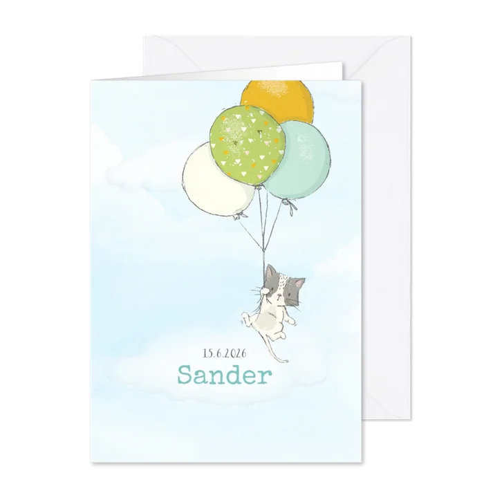 Geboortekaart jongen, kitten en ballonnen