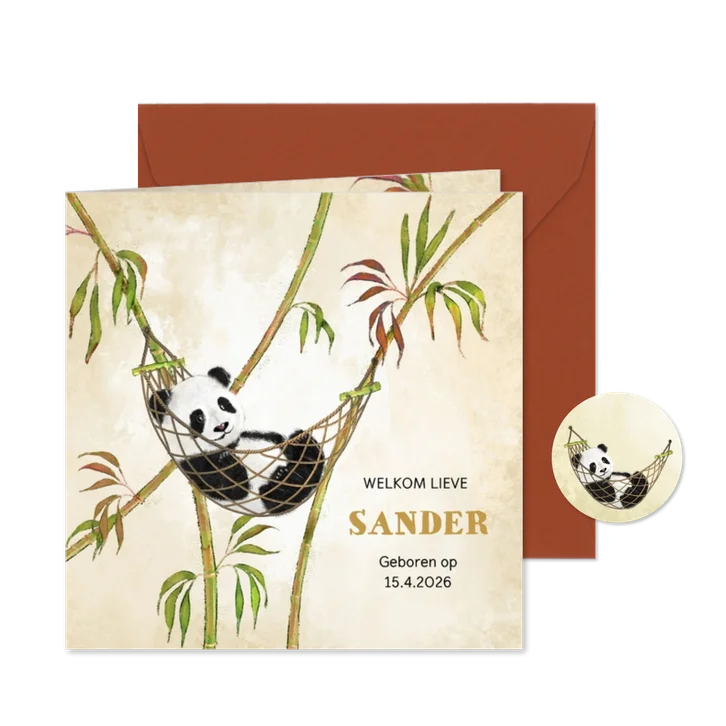 Geboortekaart jongen pandabeer in hangmat