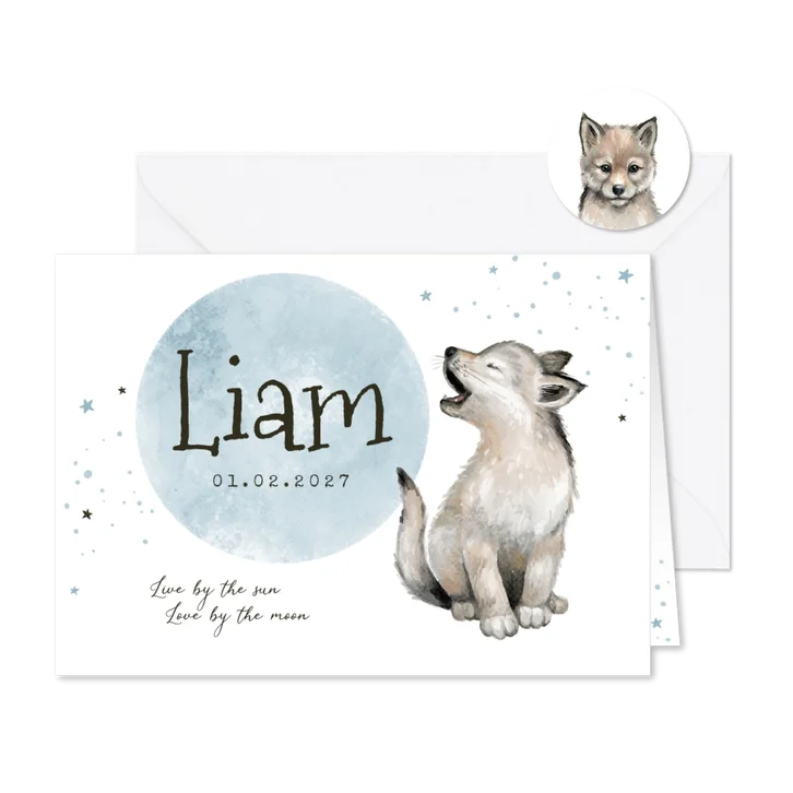 Geboortekaart jongen wolf sterretjes maan waterverf