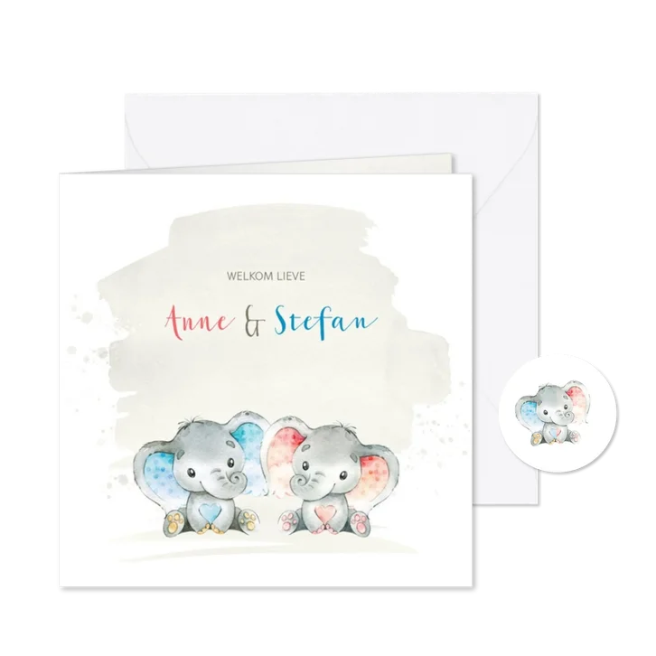 Geboortekaart met olifant tweeling j/m 