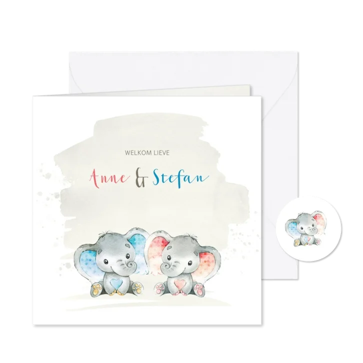 Geboortekaart met olifant tweeling j/m 