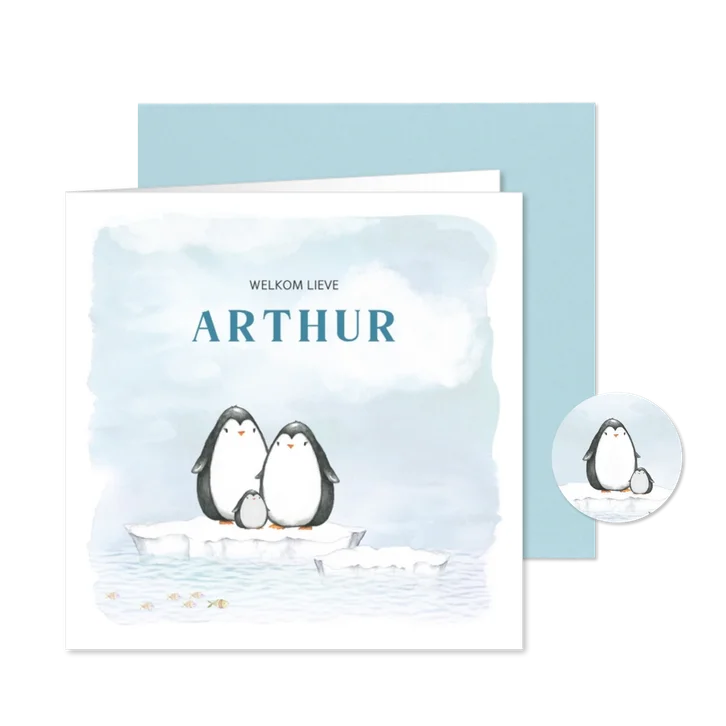 Geboortekaart met pinguin op ijsschots