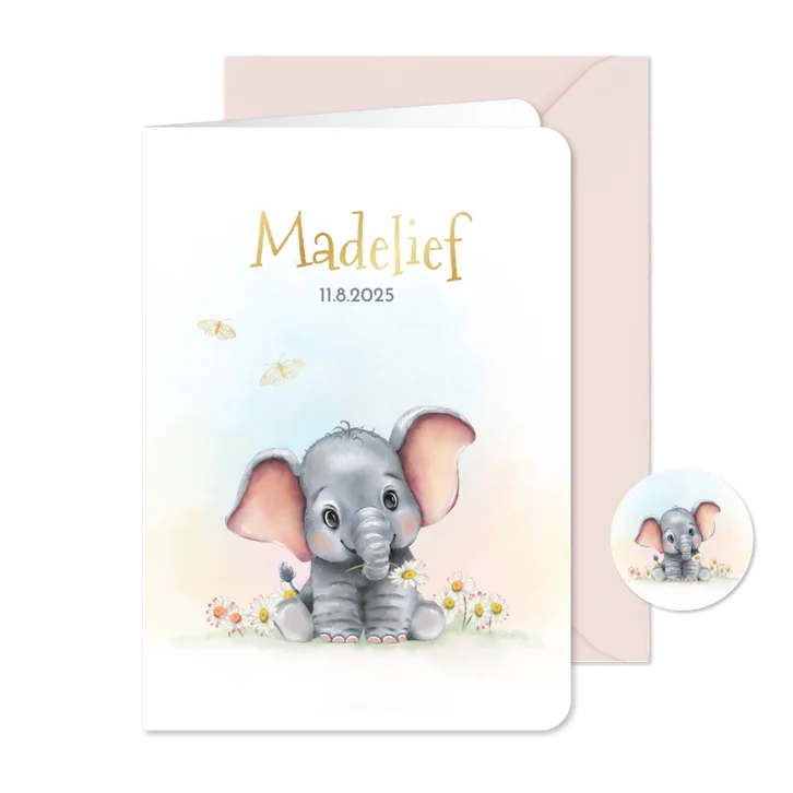 Geboortekaart olifantje met vlindertjes
