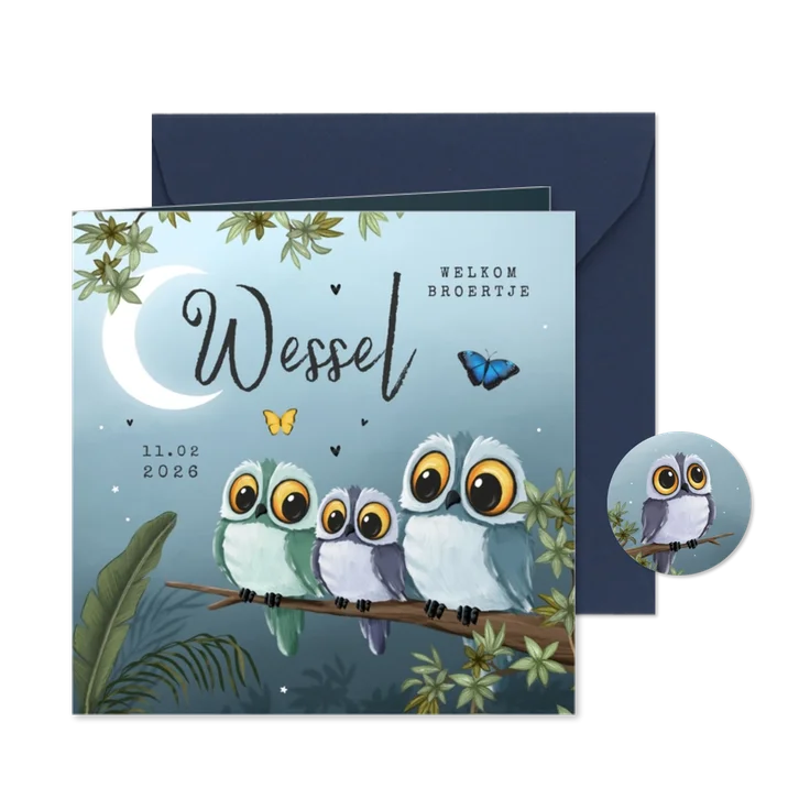 Geboortekaartje 3e kindje jongen uiltjes dieren nacht maan
