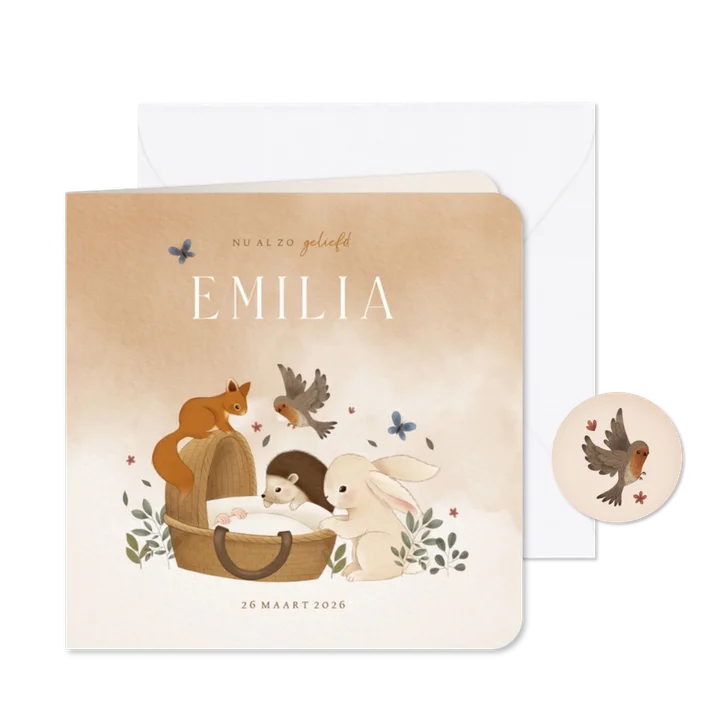 Geboortekaartje bosdieren konijn egel eekhoorn vogel wiegje