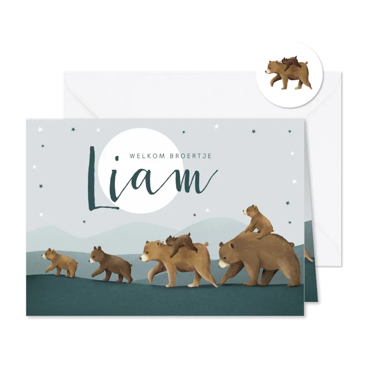 Geboortekaartje broertje dieren beren familie sterren maan