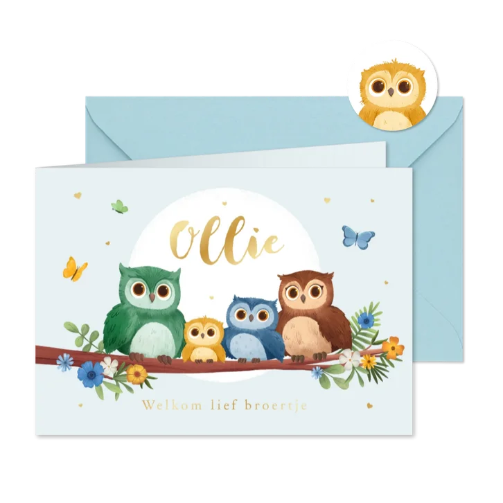 Geboortekaartje broertje lief uiltjes boom vlinders hartjes