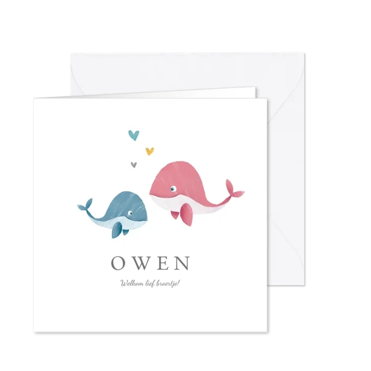 Geboortekaartje broertje of zusje met walvisjes