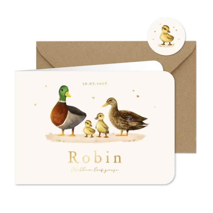 Geboortekaartje broertje zusje eendjes familie gezin