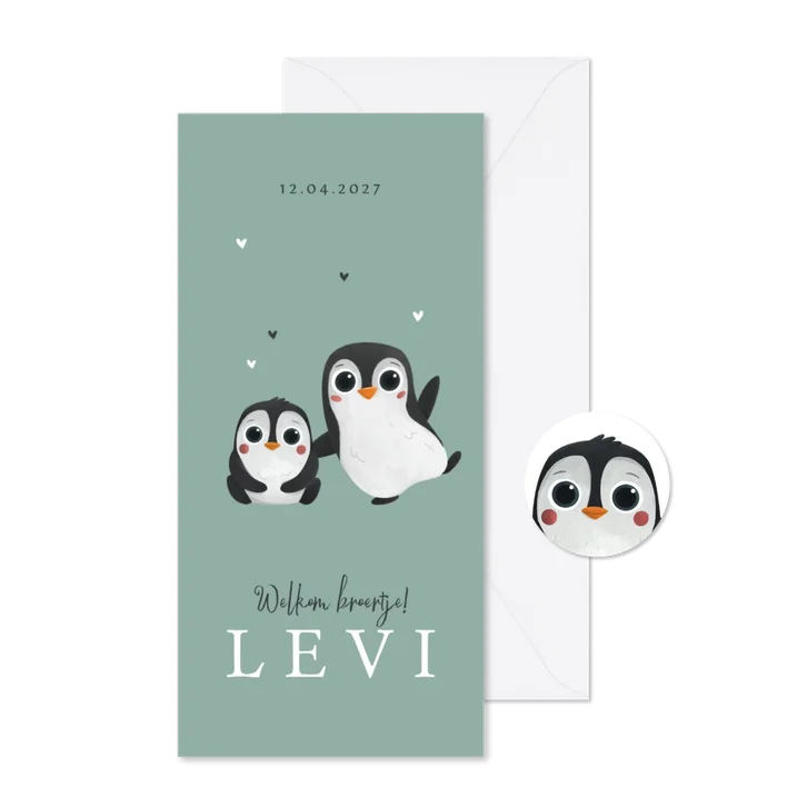 Geboortekaartje broertje zusje pinguïns hartjes lief