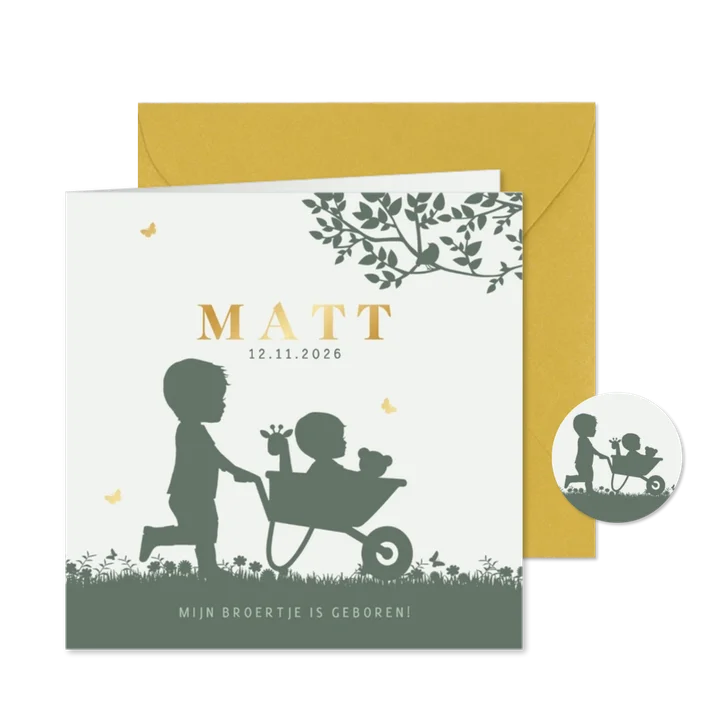 Geboortekaartje broertjes kruiwagen