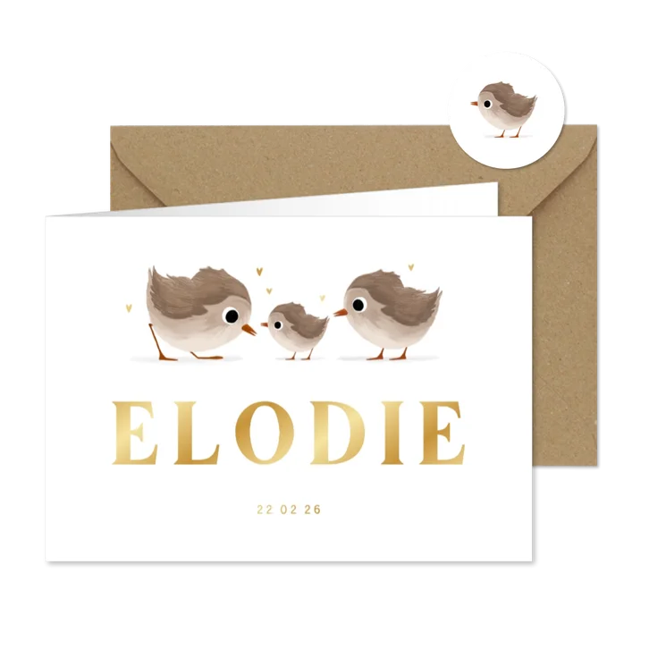Geboortekaartje derde broertje of zusje met vogeltjes