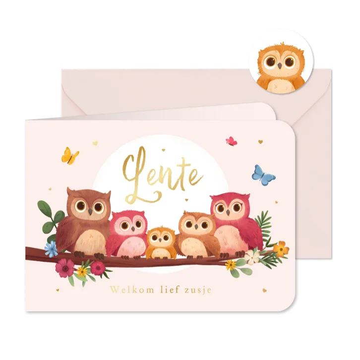 Geboortekaartje derde kindje lente uiltjes vlinders hartjes