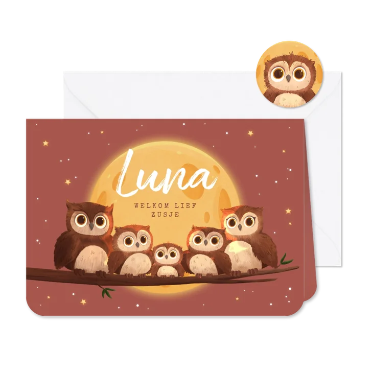 Geboortekaartje derde kindje uilen familie dieren maan ster