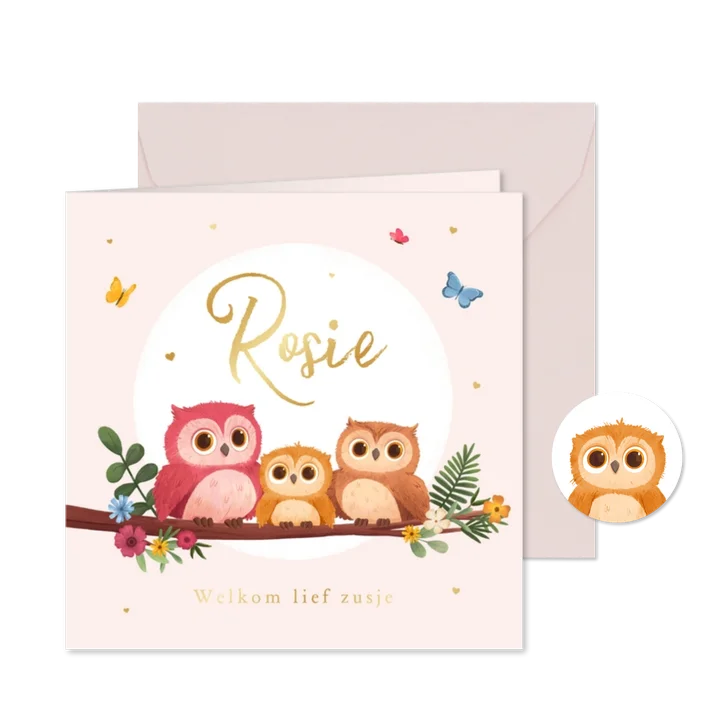 Geboortekaartje derde kindje uiltjes lief bloemen vlinders