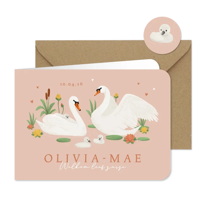 Geboortekaartje derde kindje zwanen lief lente zusje