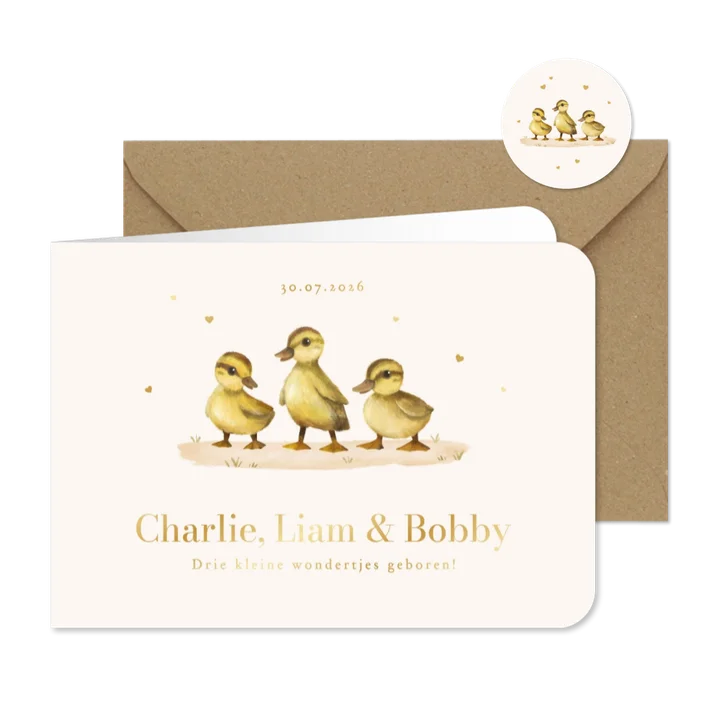 Geboortekaartje dieren eendjes drieling hartjes