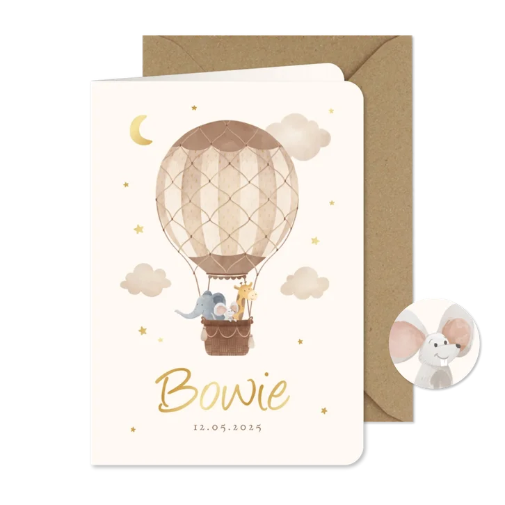 Geboortekaartje dieren luchtballon vintage wolkjes sterren