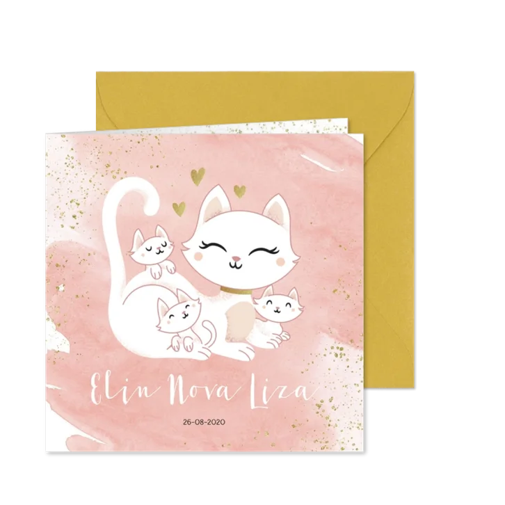 Geboortekaartje drieling meerling meisjes poes met kittens