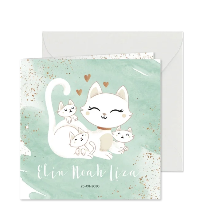 Geboortekaartje drieling meerling neutraal poes met kittens